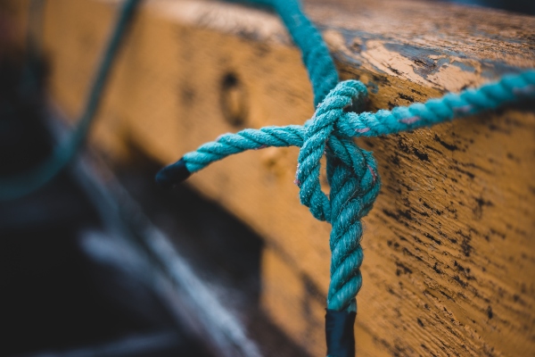 Beyond the Bowline:  Essential Knots & Knot Theory